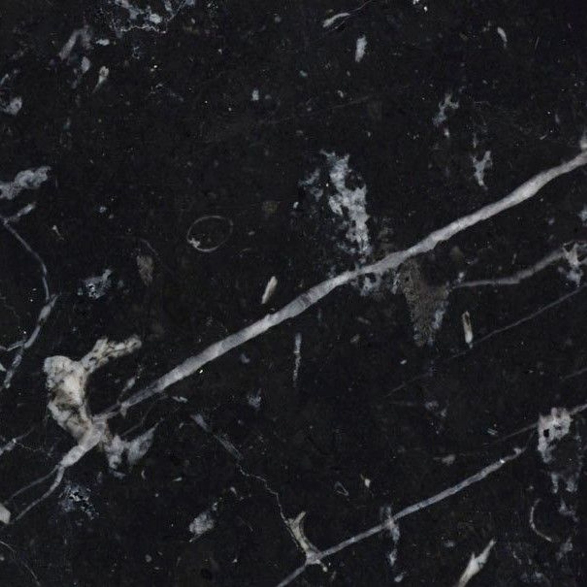 Polished Nero Marquina Select black marble tile, obsidian with white lightning veining