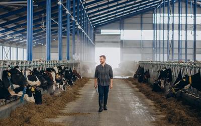 Budowa i materiały stosowane w halach dla bydła