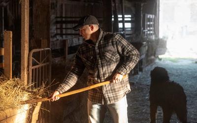 Obory dla bydła opasowego