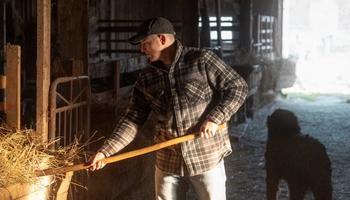 Obory dla bydła opasowego