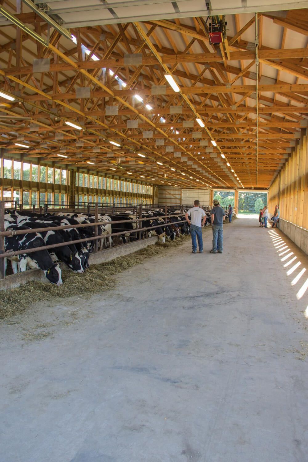 Czym są hale dla bydła?