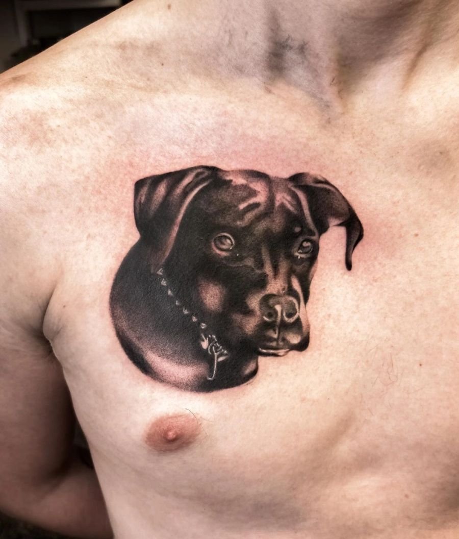 Hundeportrait (Rottweiler) auf der Brust, Black & Grey, von Melinda Dür