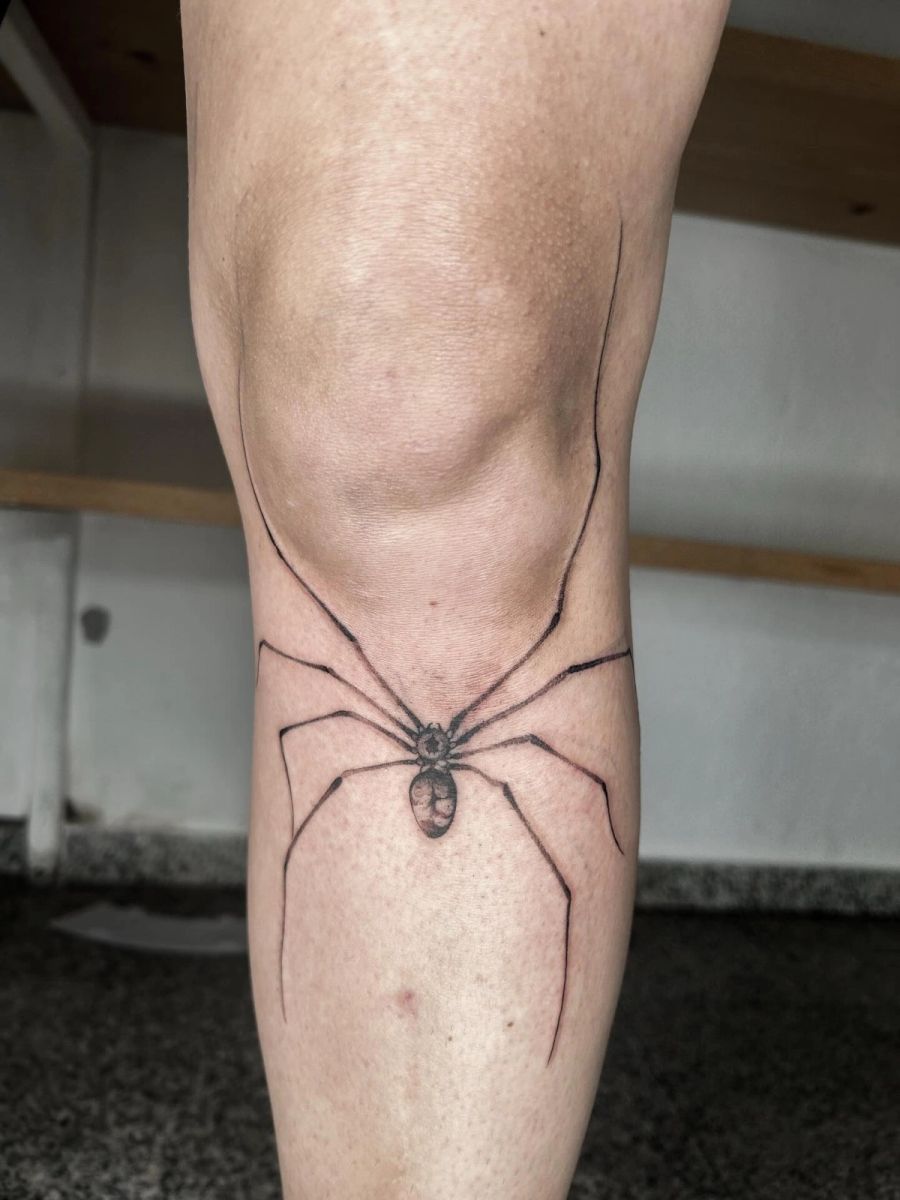 Feine Spinne über dem Knie