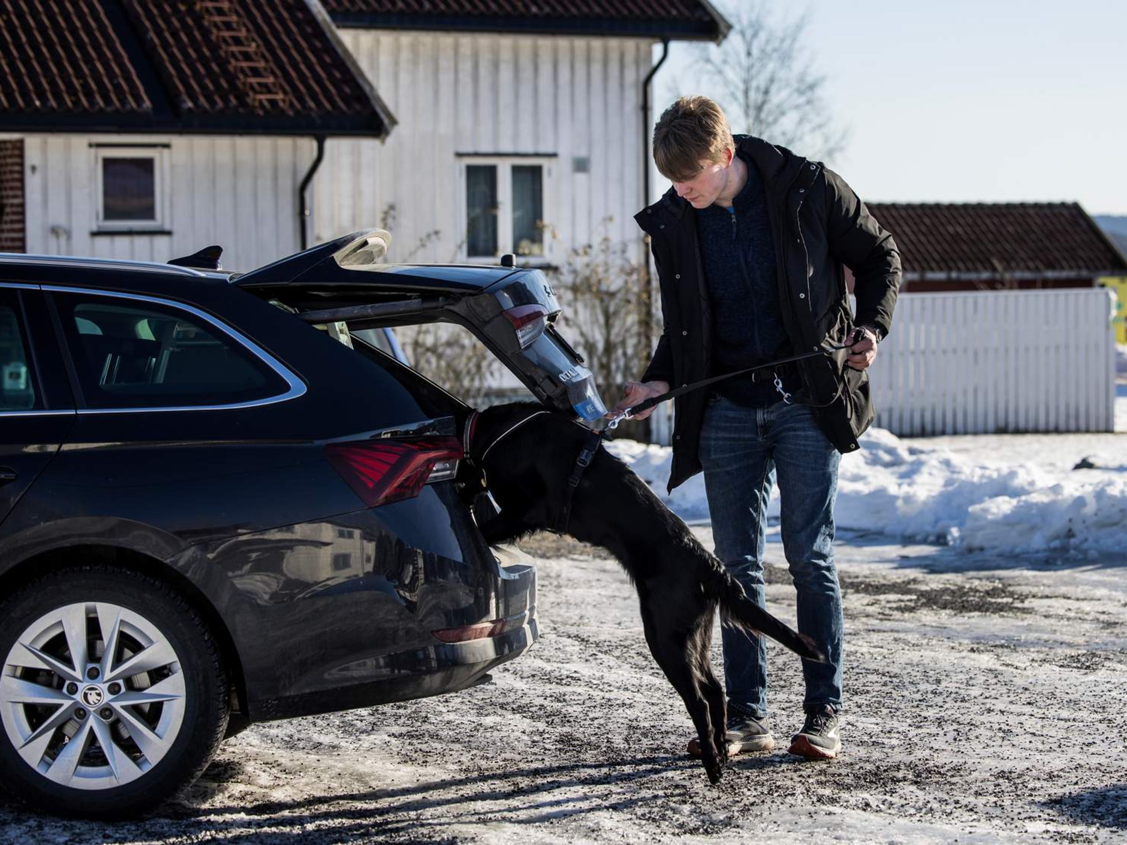 En ung mann har med seg en hund og åpner bakluka på en bil.
