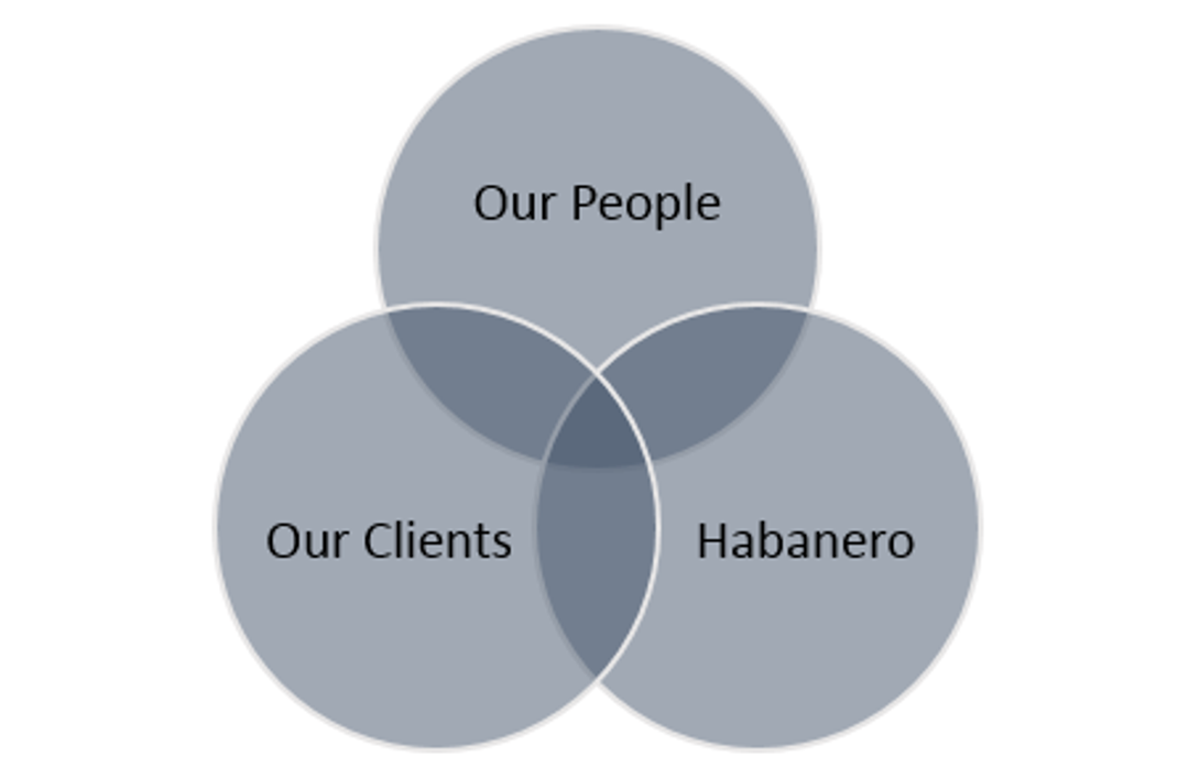 Habanero Consulting Group, Steven Fitzgerald, Caterina Sanders