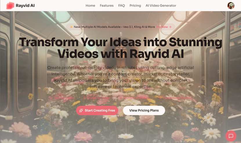 image of Rayvid AI