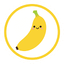 Logo of NanoBananaX