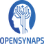 Logo of OpenSynaps AI - Your safe place, never feel alone anymore