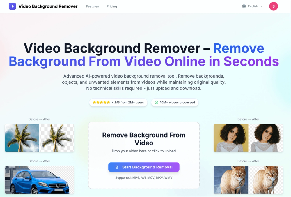 image of video background remover