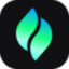 Logo of Verdent Deck