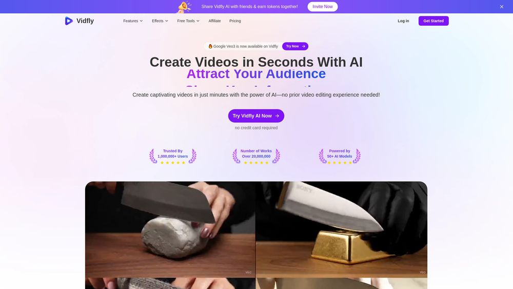 Screenshot of Vidfly