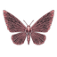 Logo of Lure Machina AI Companion