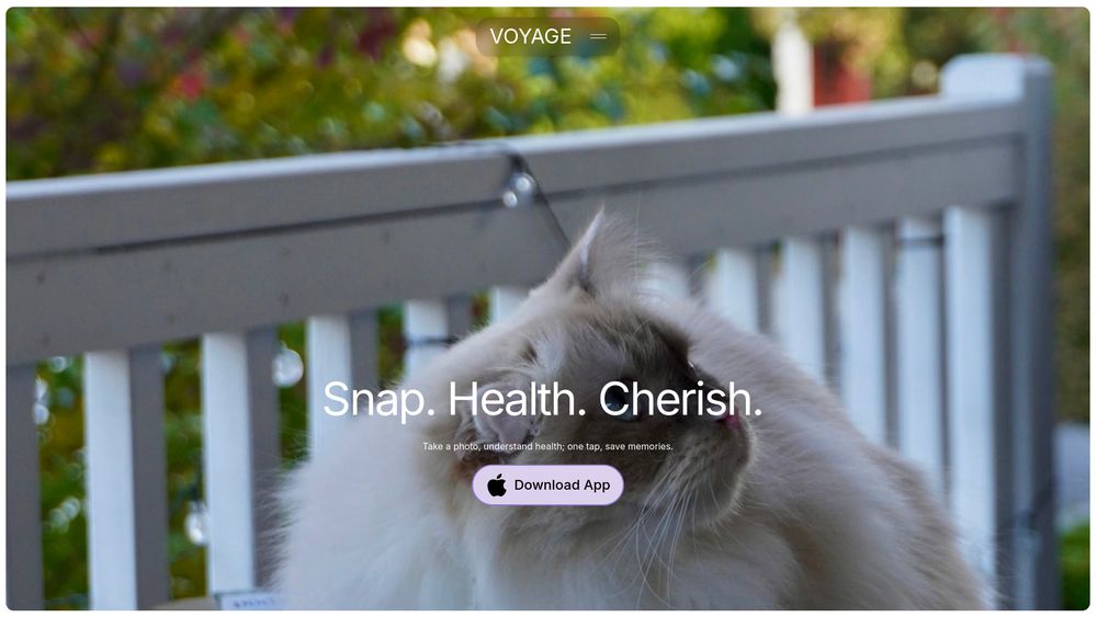 Screenshot of Voyage Pet AI