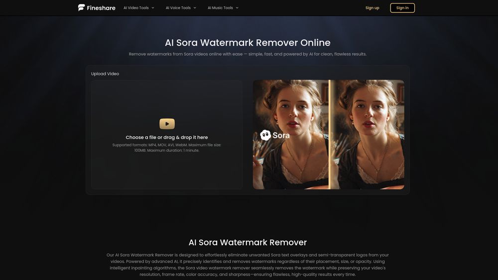 Screenshot of Sora Watermark Remover by Fineshare
