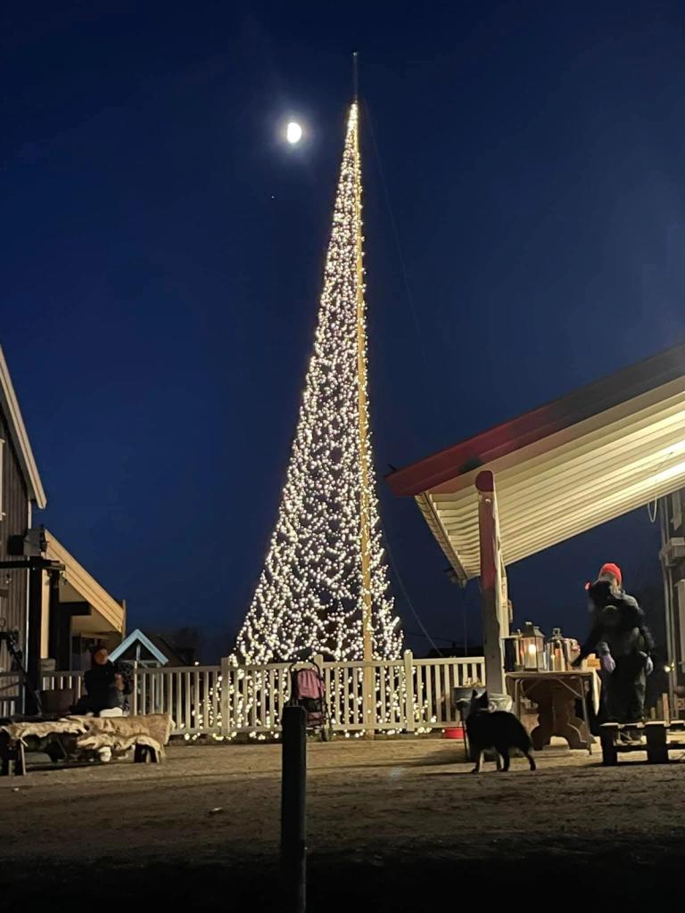 Bergvang gård lysgran.jpg