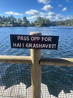 dyreparken Hai i havet.jpeg