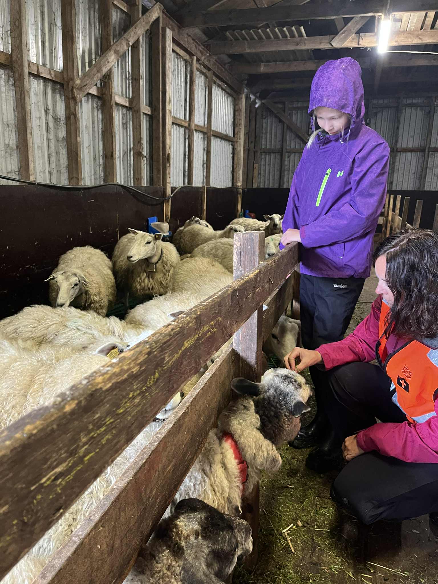 11fcb9b8-d4a5-414f-bbe7-0a7a5900cc73 (1).jpg