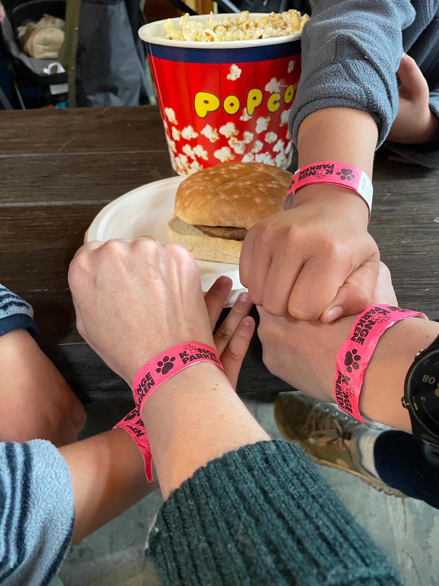 Bilde 24.06.2025, 14 23 19.jpg