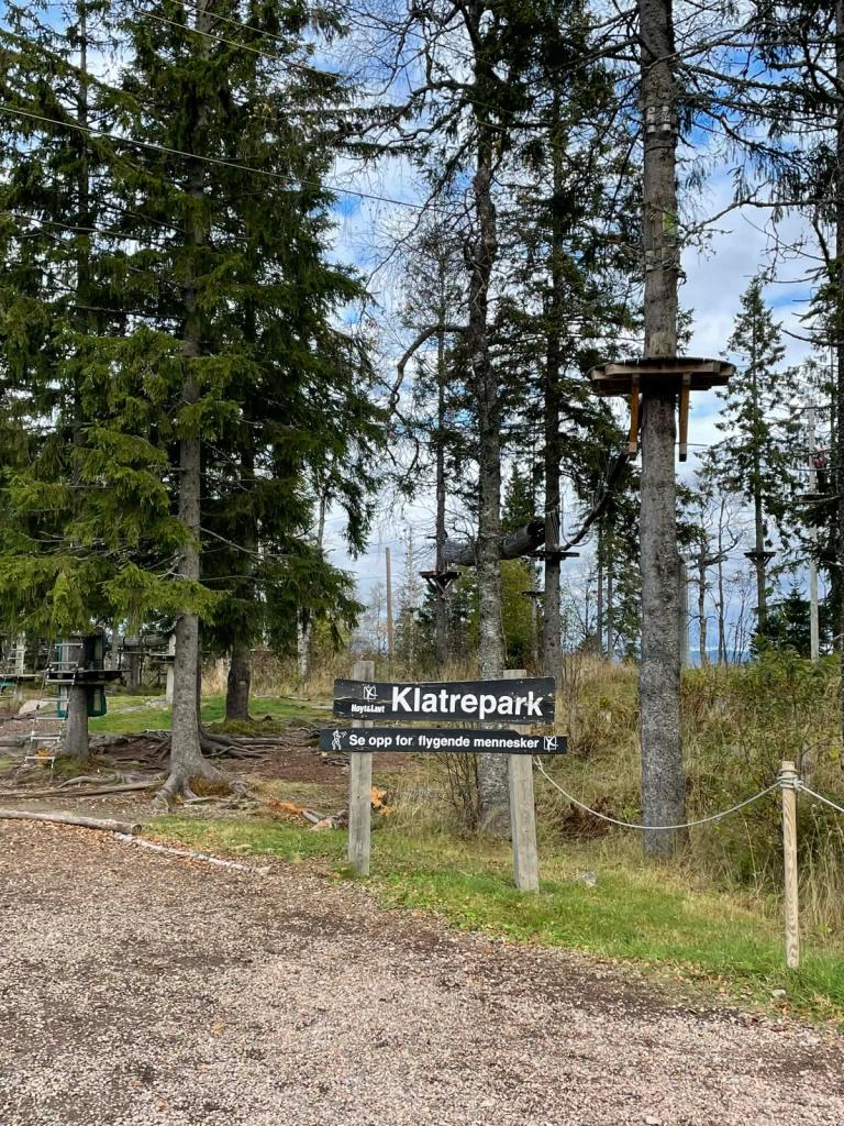 9c2bf517-cdd0-4699-9df3-419ec51bdf01 (1).jpg