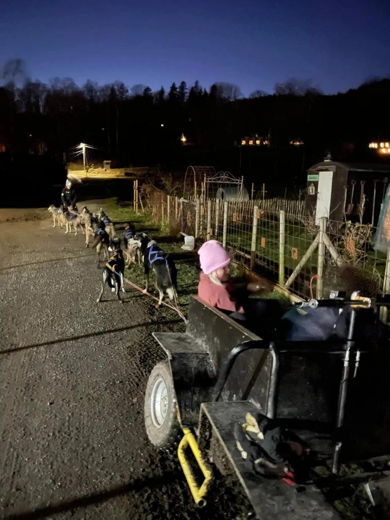 Bergvang Hundespann.jpg