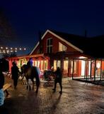 6cb28795-e9d8-437e-a650-3603f129253e.jfif