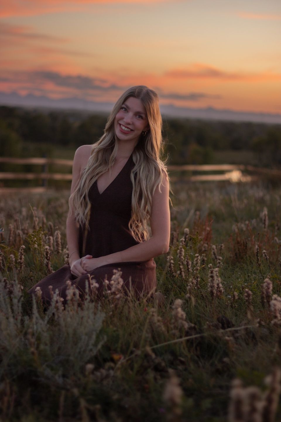 Reagan in a field