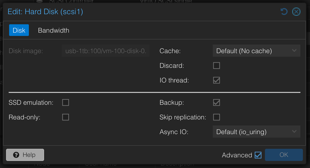 PVEの仮想ディスク編集画面。Advanced表示時にBackupのチェックを外せる。