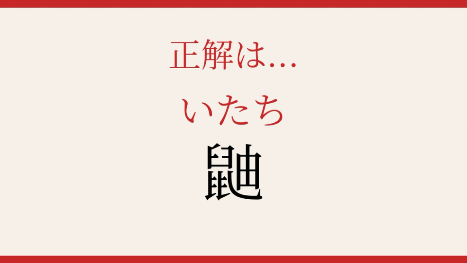 正解画像