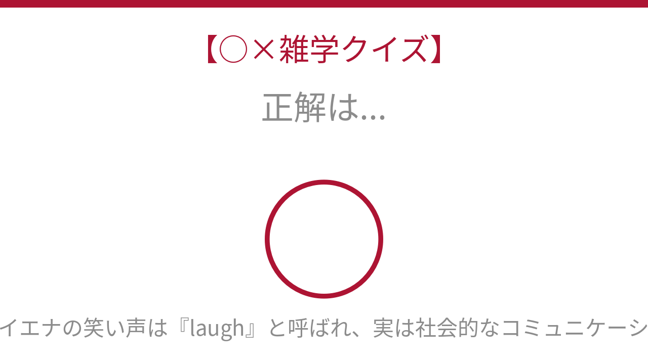 正解画像