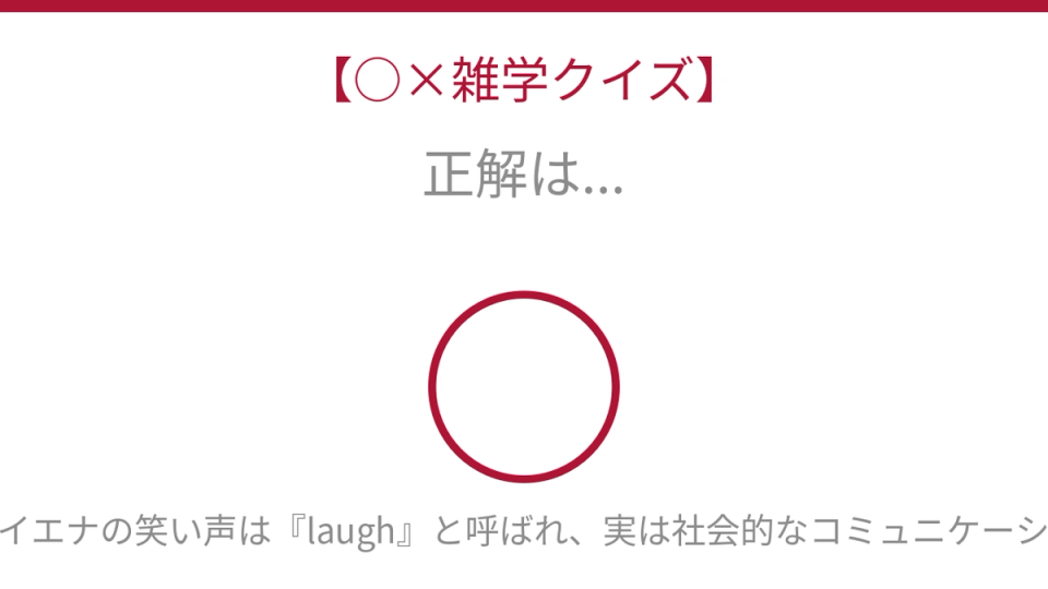 正解画像
