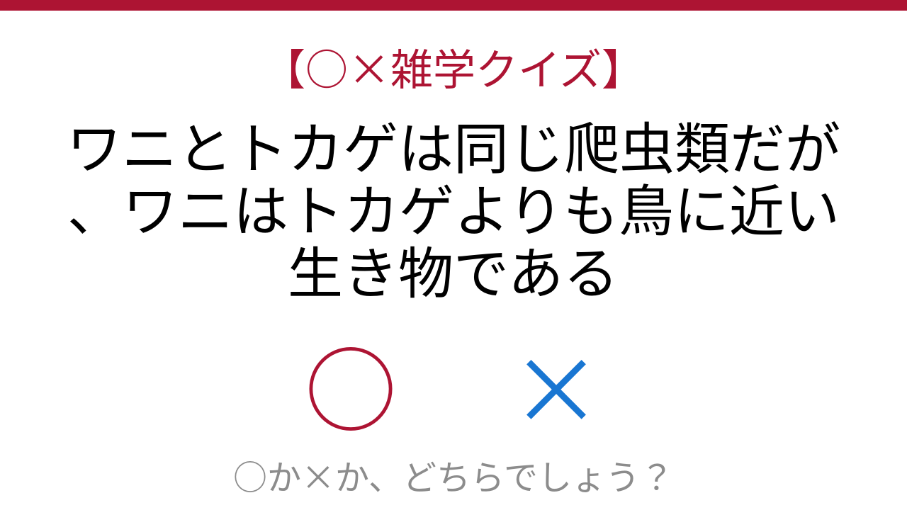 【○×雑学クイズ】まさか！進化系統樹の意外な真実