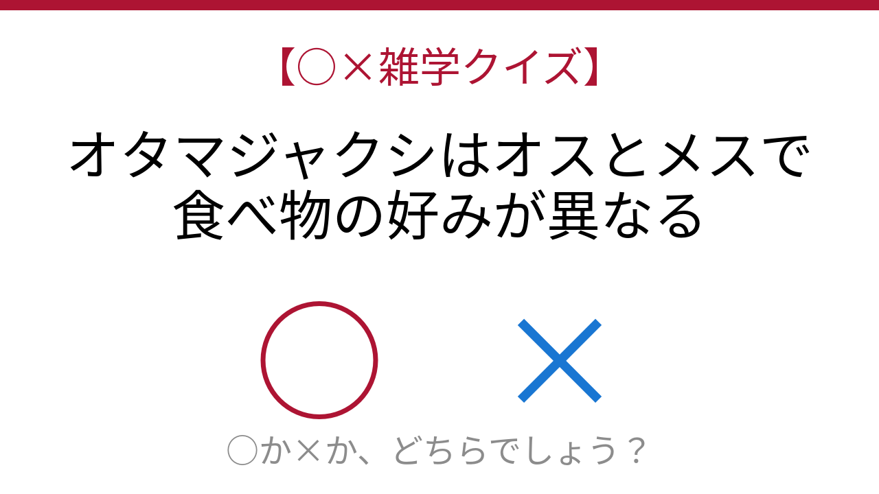 【○×雑学クイズ】これ本当？オタマジャクシの秘密