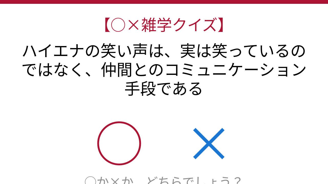 【○×雑学クイズ】これ本当？ハイエナの「笑い」の正体