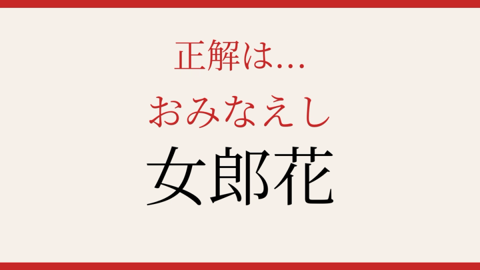 正解画像