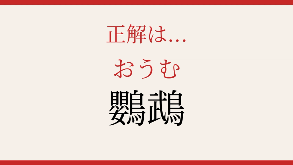 正解画像