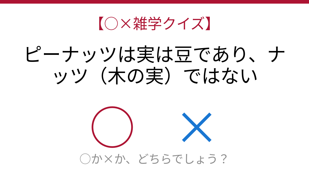 【○×雑学クイズ】これ本当？ピーナッツの正体に驚愕！