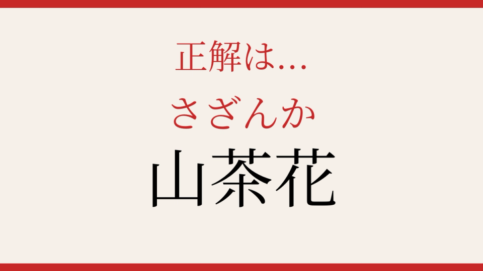 正解画像