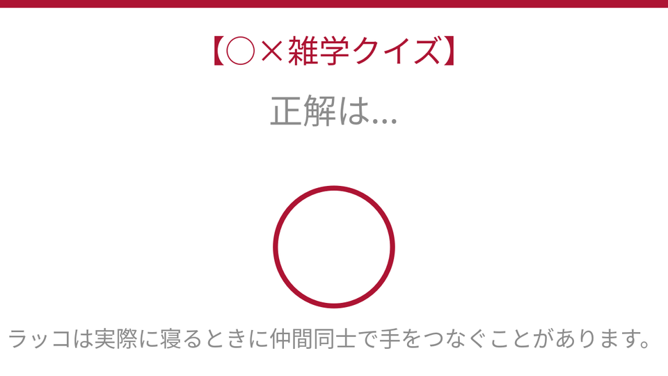 正解画像
