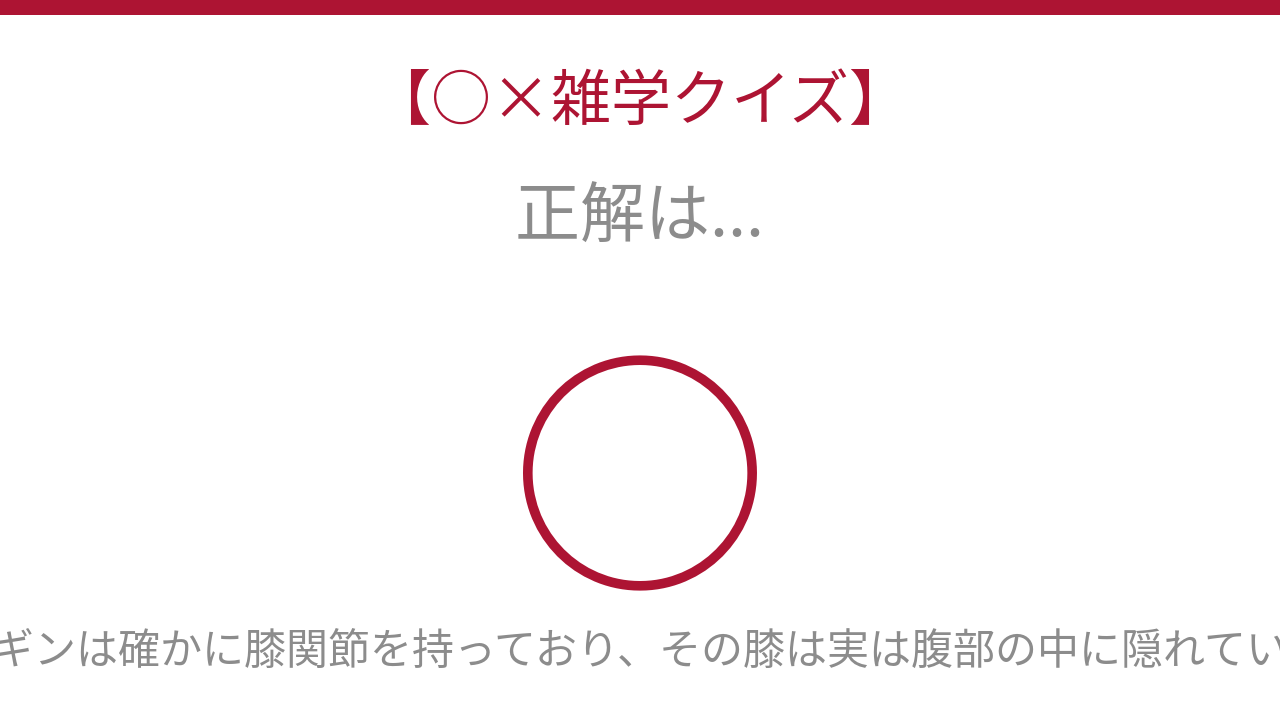 正解画像