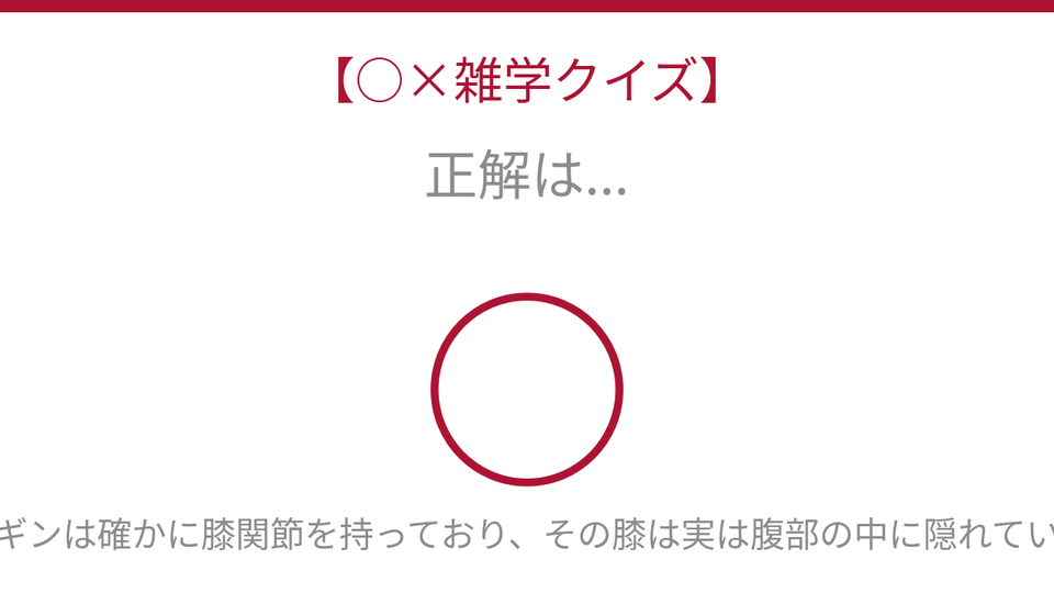 正解画像