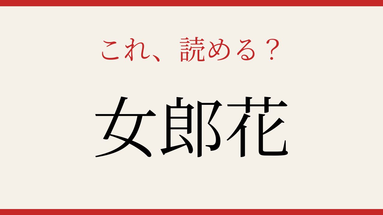 【難読漢字】この読み方、知ってる？秋の野に咲く花