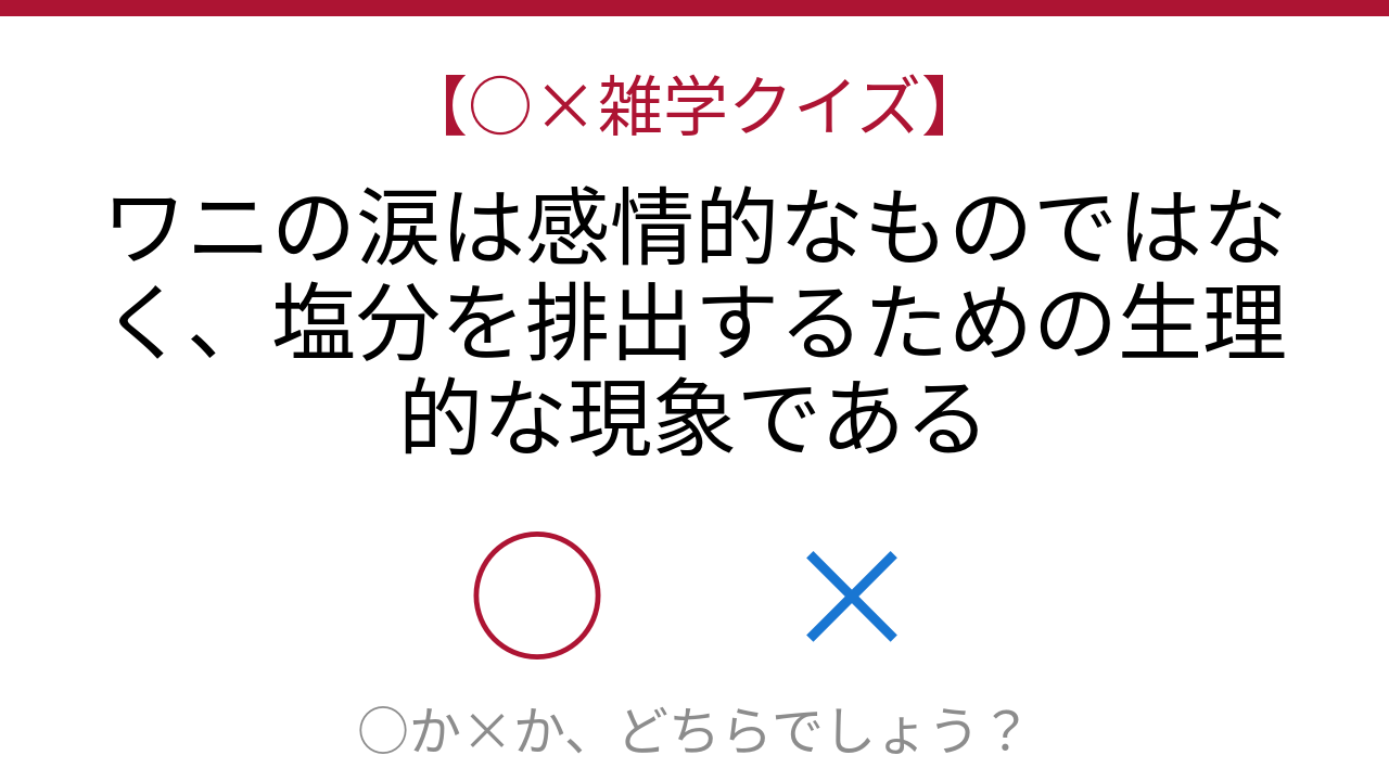 【○×雑学クイズ】これ本当？ワニの涙の秘密