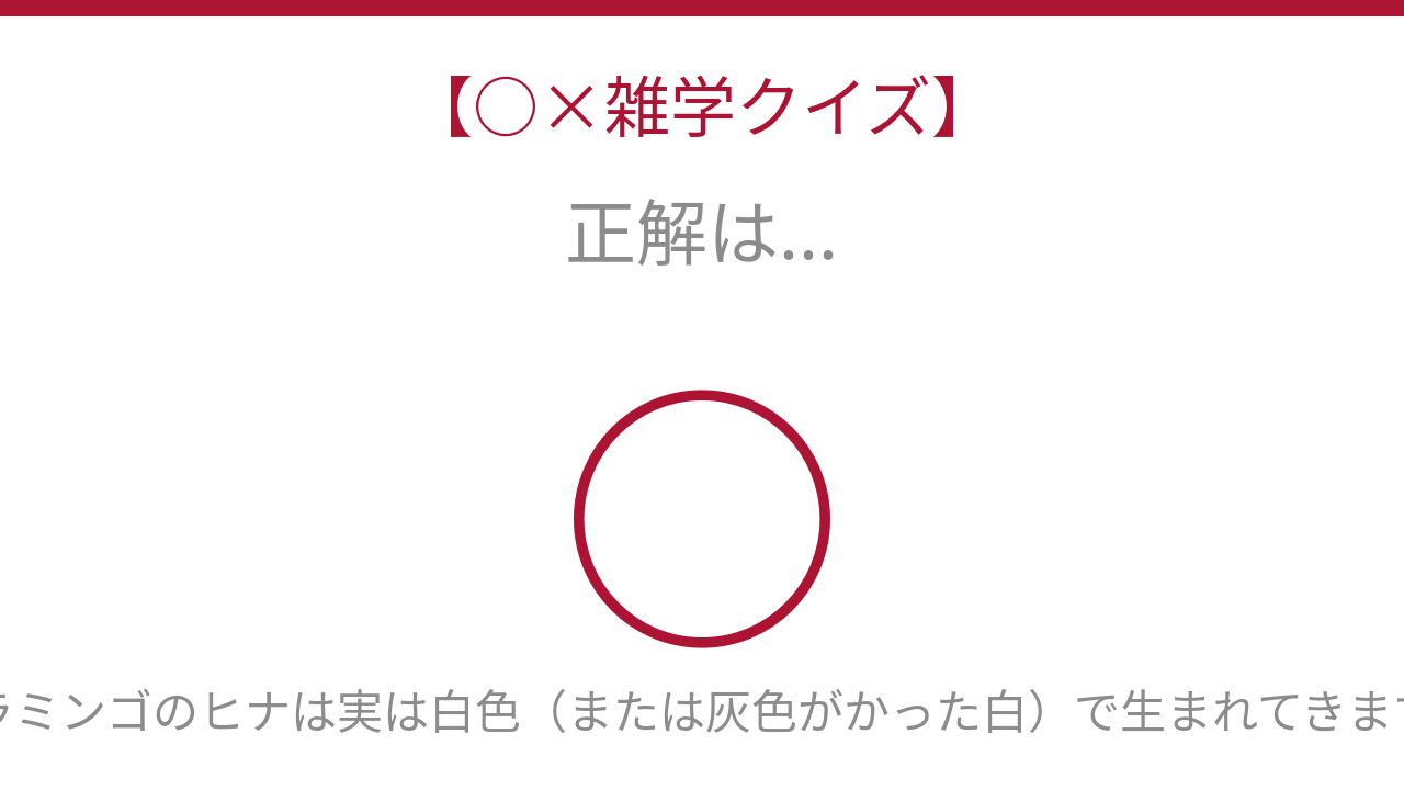 正解画像