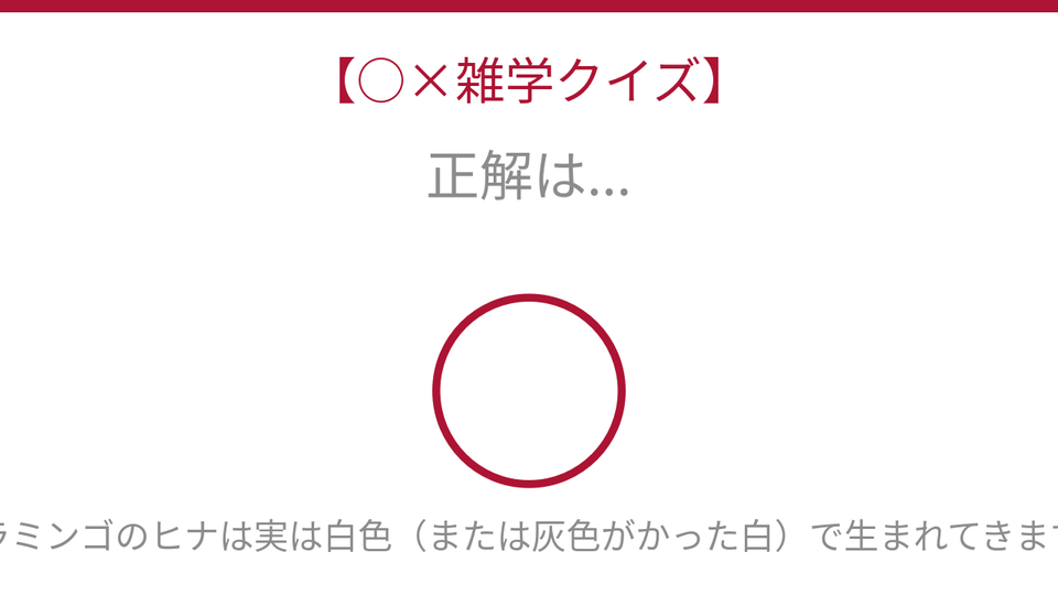 正解画像