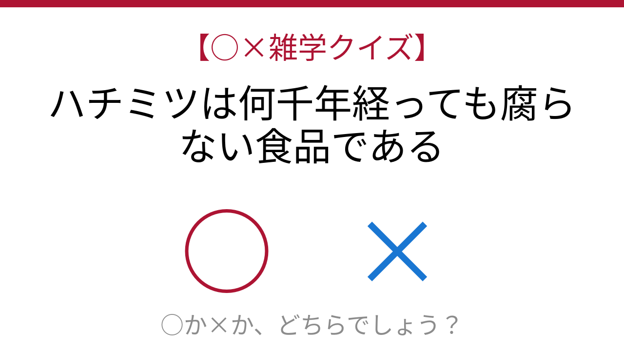 【○×雑学クイズ】これ本当？古代エジプトのハチミツが今でも食べられるって…！の問題イメージ