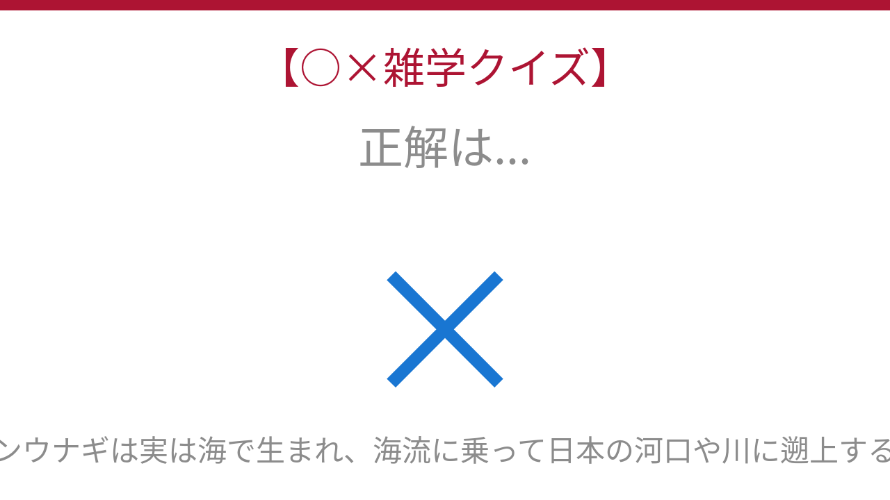 正解画像