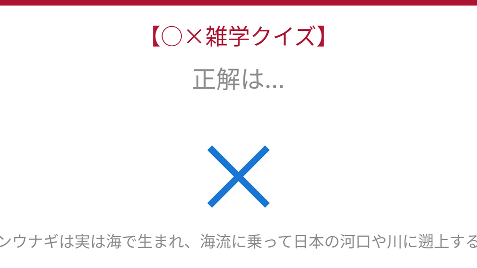 正解画像
