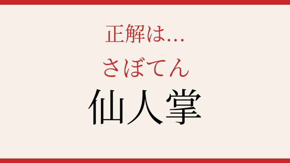 正解画像