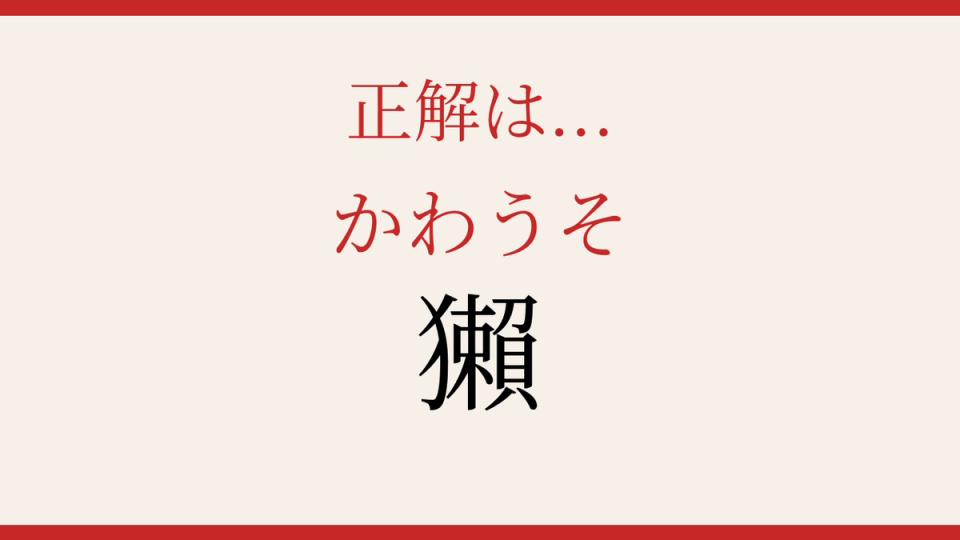 正解画像