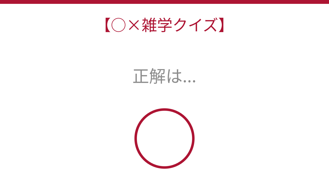 正解画像